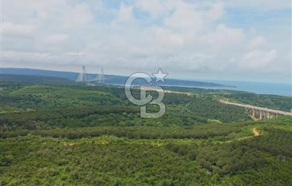 Beykoz Anadolufenerinde 803 m² 0.20 Konut İmarlı Satılık Arsa