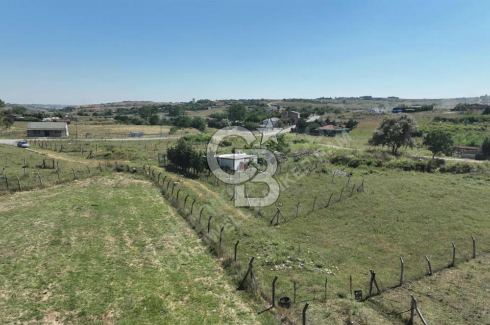 ARNAVUTKÖY TAŞOLUK DA KUPON ARSA