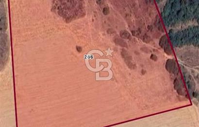 Bursa Yenişehir Satılık 18.250 m2 Tarla