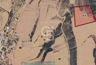 Bursa Yenişehir Satılık 18.250 m2 Tarla - 12 - 356016