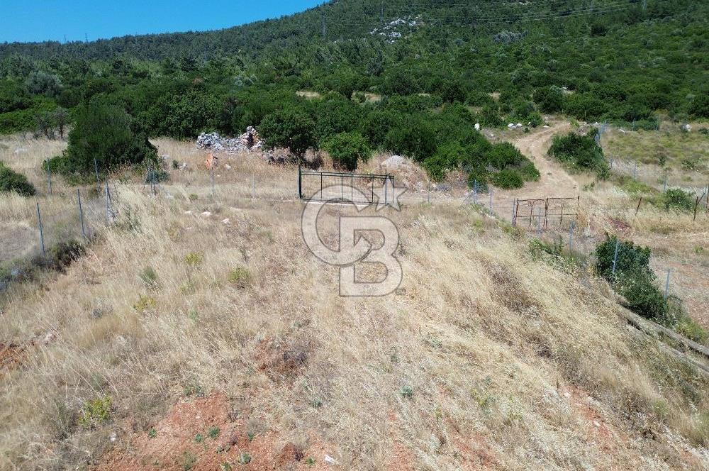 Karaburun Eğlenhoca Mahallesi'nde 11.268 m² Satılık Bağ