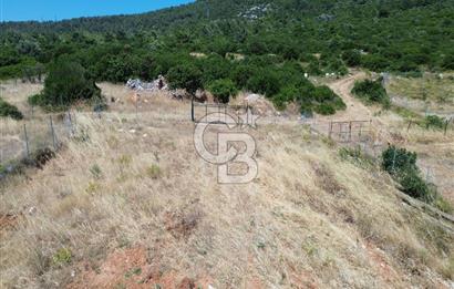 Karaburun Eğlenhoca Mahallesi'nde 11.268 m² Satılık Bağ