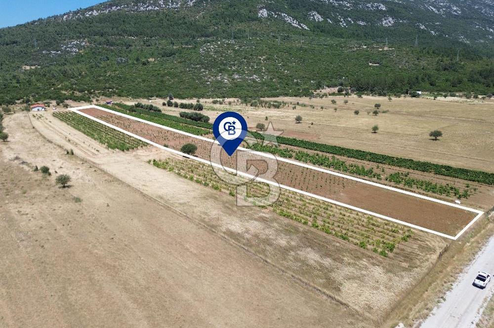 Karaburun Eğlenhoca Mahallesi'nde 11.268 m² Satılık Bağ