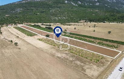 Karaburun Eğlenhoca Mahallesi'nde 11.268 m² Satılık Bağ