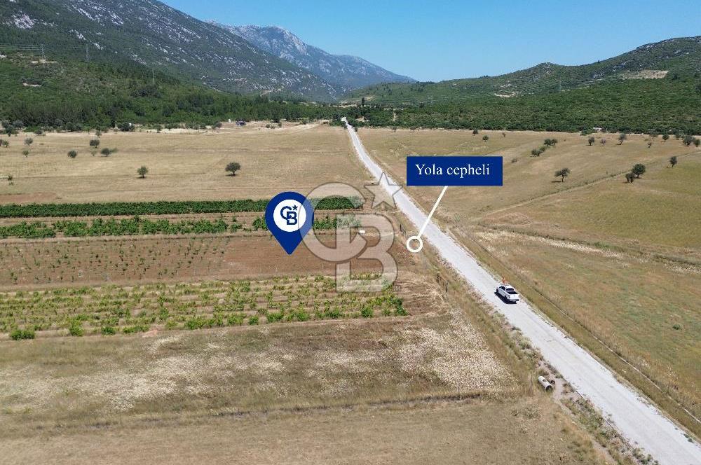 Karaburun Eğlenhoca Mahallesi'nde 11.268 m² Satılık Bağ