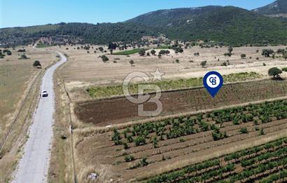 Karaburun Eğlenhoca Mahallesi'nde 11.268 m² Satılık Bağ