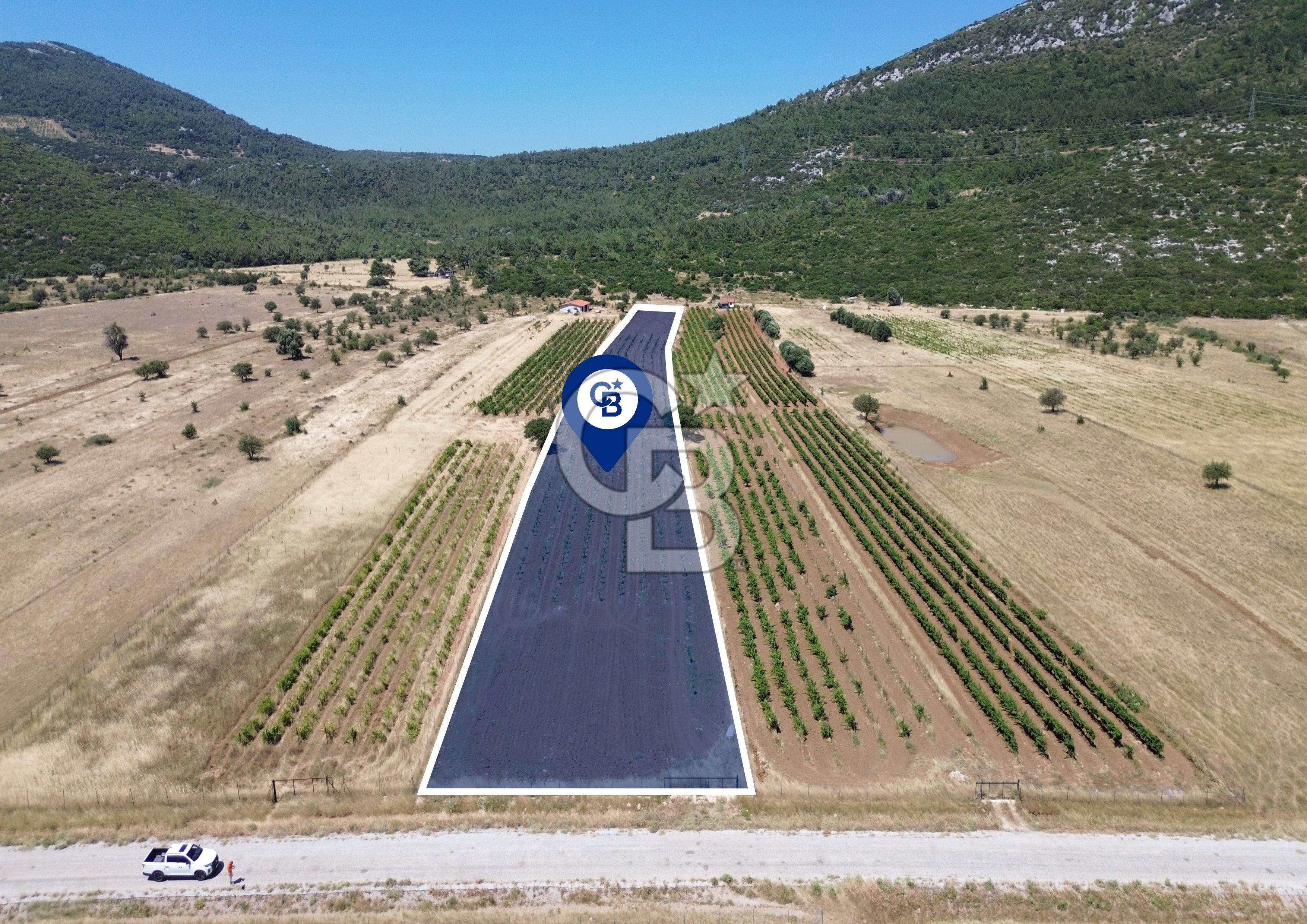 Karaburun Eğlenhoca Mahallesi'nde 11.268 m² Satılık Bağ