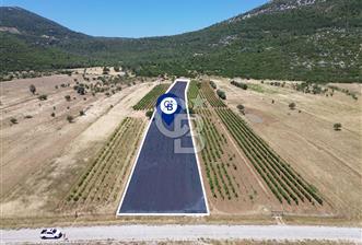Karaburun Eğlenhoca Mahallesi'nde 11.268 m² Satılık Bağ - 1 - 356053