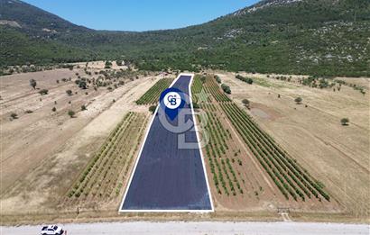 Karaburun Eğlenhoca Mahallesi'nde 11.268 m² Satılık Bağ
