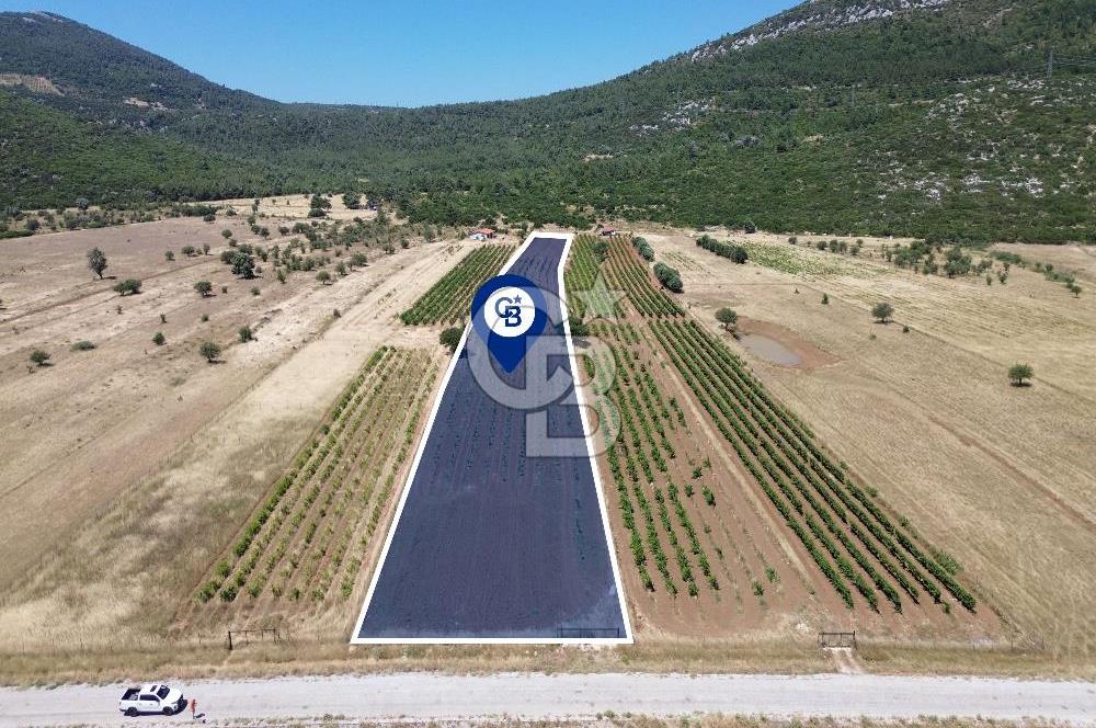 Karaburun Eğlenhoca Mahallesi'nde 11.268 m² Satılık Bağ