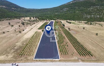 Karaburun Eğlenhoca Mahallesi'nde 11.268 m² Satılık Bağ