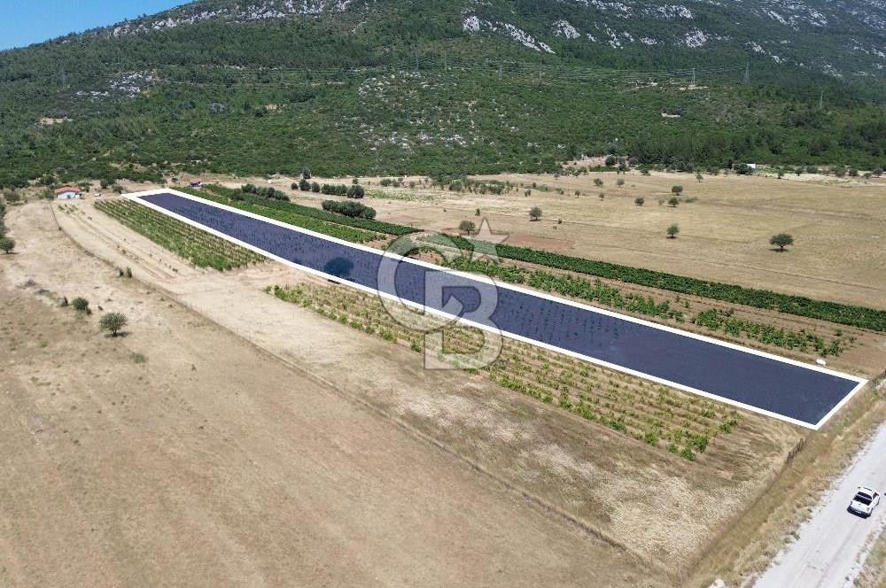 Karaburun Eğlenhoca Mahallesi'nde 11.268 m² Satılık Bağ
