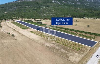 Karaburun Eğlenhoca Mahallesi'nde 11.268 m² Satılık Bağ