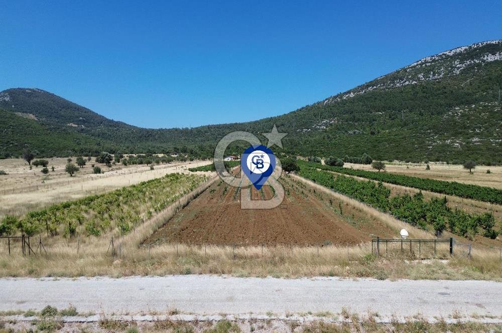 Karaburun Eğlenhoca Mahallesi'nde 11.268 m² Satılık Bağ
