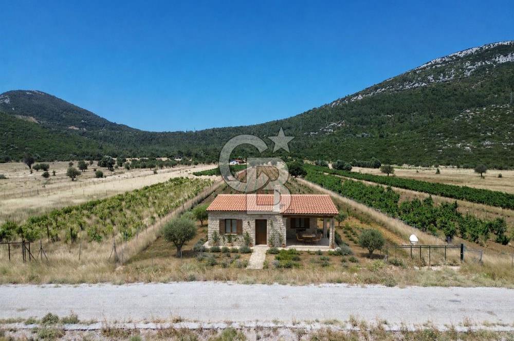 Karaburun Eğlenhoca Mahallesi'nde 11.268 m² Satılık Bağ