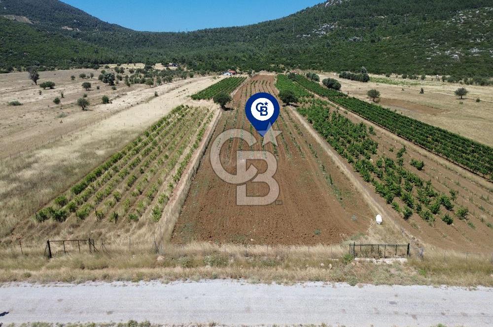 Karaburun Eğlenhoca Mahallesi'nde 11.268 m² Satılık Bağ