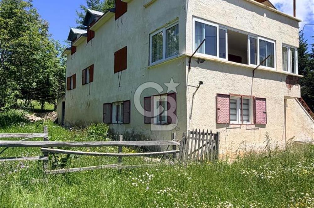 ÇAMBAŞI YAYLASINDA SATILIK MÜSTAKİL EV VE ARSASI 