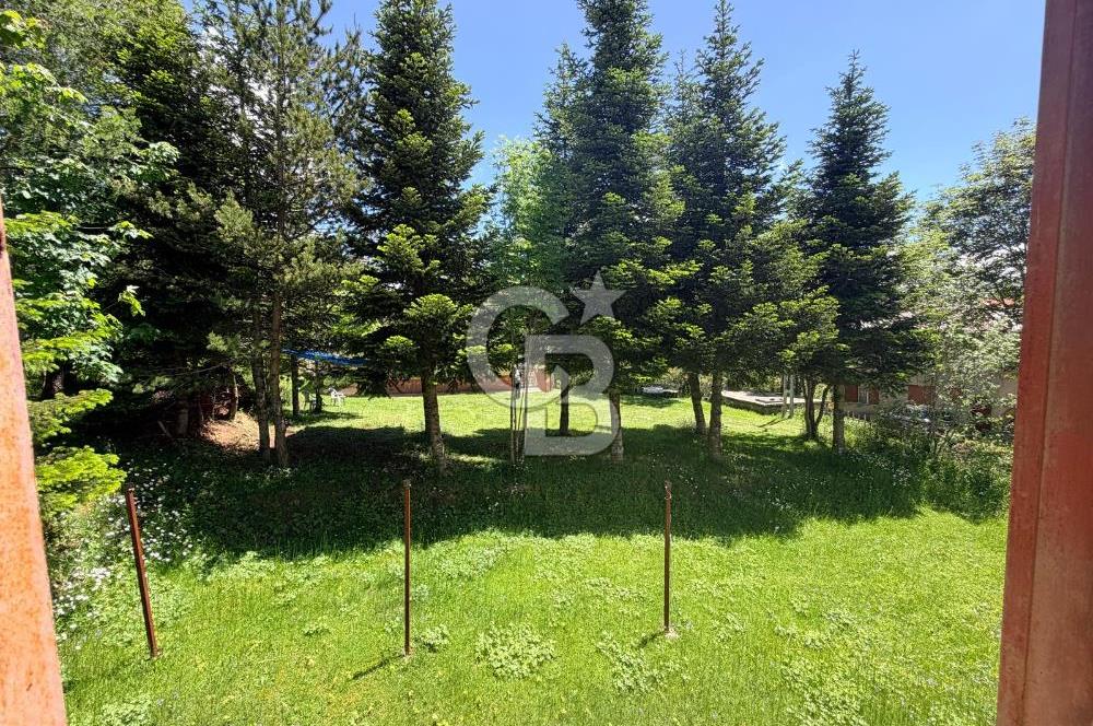 ÇAMBAŞI YAYLASINDA SATILIK MÜSTAKİL EV VE ARSASI 