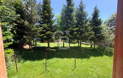 ÇAMBAŞI YAYLASINDA SATILIK MÜSTAKİL EV VE ARSASI 