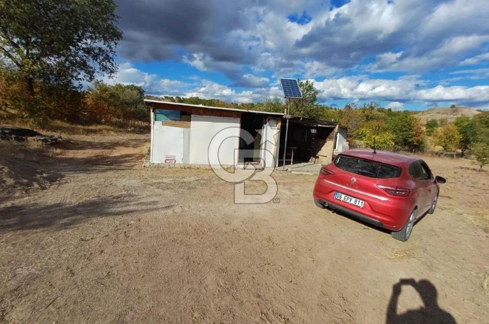 Kızılcıhamam'da 4390 M2 Satılık Bağçe