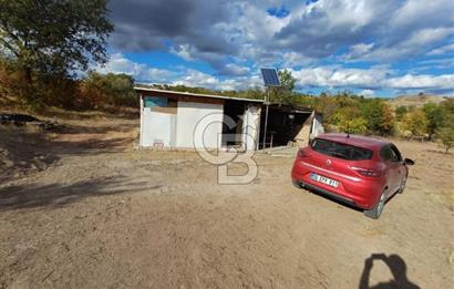 Kızılcıhamam'da 4390 M2 Satılık Bağçe