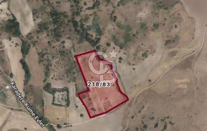 Kızılcıhamam'da 4390 M2 Satılık Bağçe