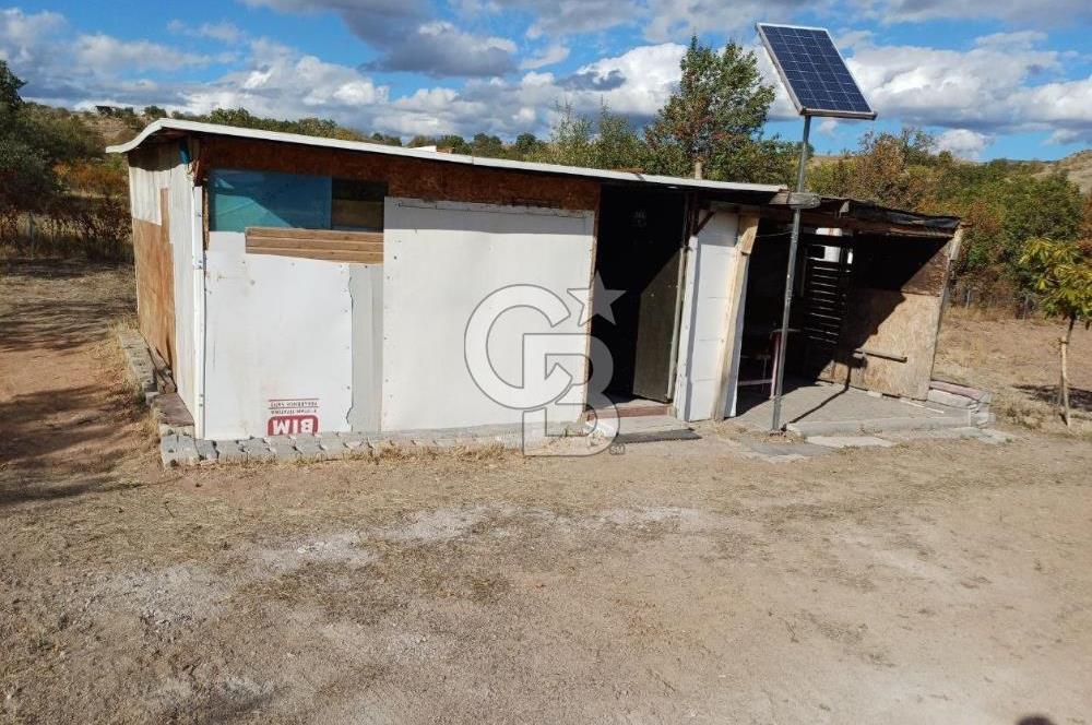 Kızılcıhamam'da 4390 M2 Satılık Bağçe