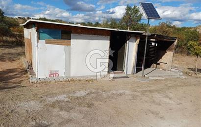 Kızılcıhamam'da 4390 M2 Satılık Bağçe