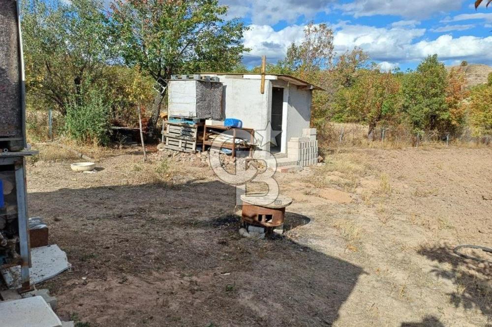 Kızılcıhamam'da 4390 M2 Satılık Bağçe