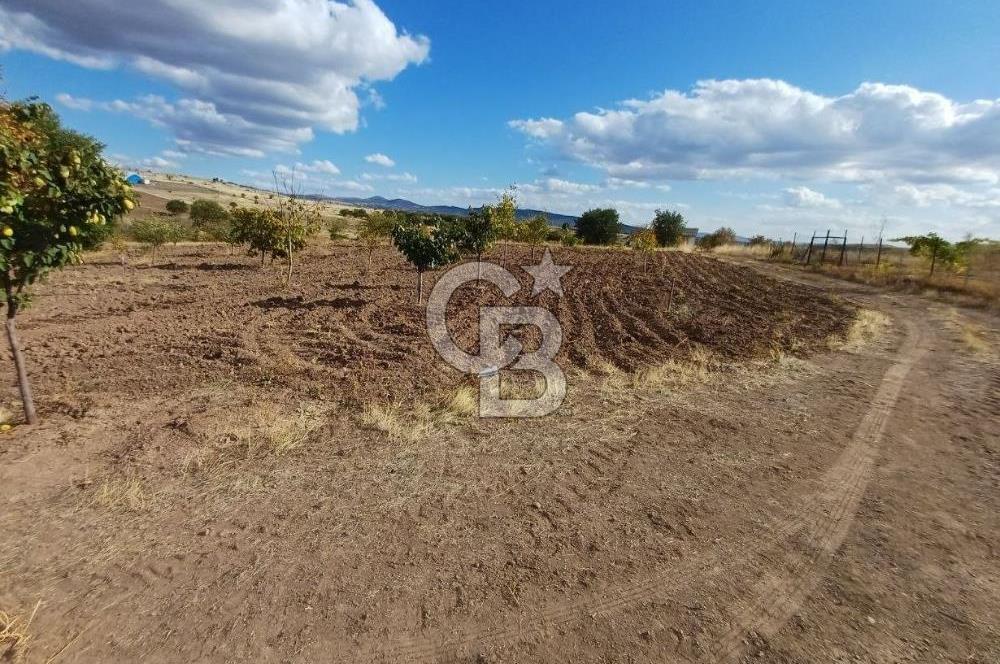 Kızılcıhamam'da 4390 M2 Satılık Bağçe