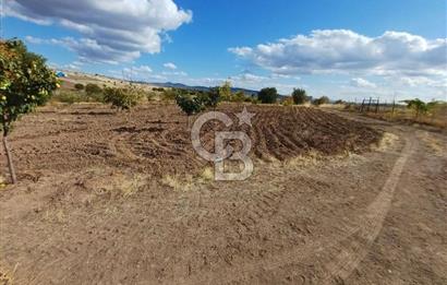 Kızılcıhamam'da 4390 M2 Satılık Bağçe