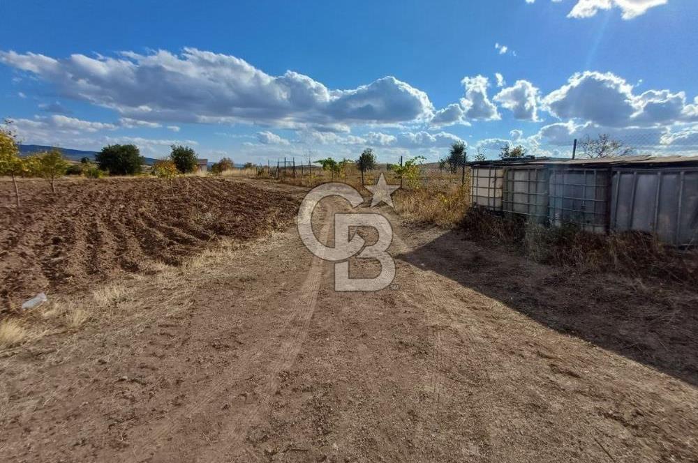 Kızılcıhamam'da 4390 M2 Satılık Bağçe