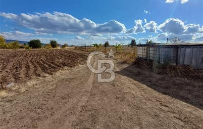 Kızılcıhamam'da 4390 M2 Satılık Bağçe