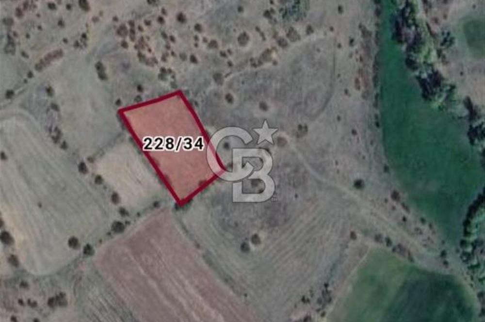 Kızılcıhamam'da 3.074 m2 Tek Tapu Satılık Tarla
