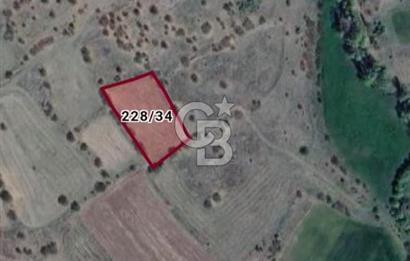 Kızılcıhamam'da 3.074 m2 Tek Tapu Satılık Tarla