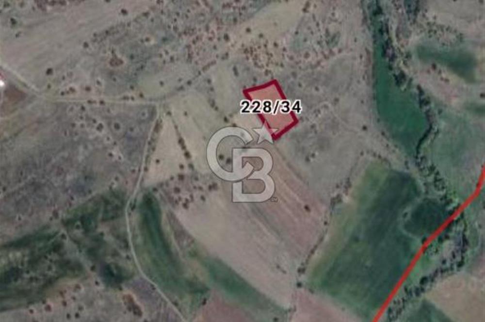 Kızılcıhamam'da 3.074 m2 Tek Tapu Satılık Tarla