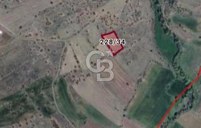 Kızılcıhamam'da 3.074 m2 Tek Tapu Satılık Tarla