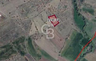 Kızılcıhamam'da 3.074 m2 Tek Tapu Satılık Tarla