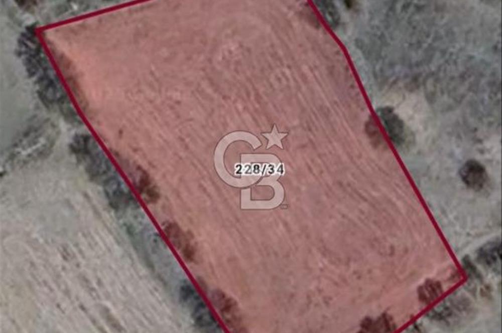 Kızılcıhamam'da 3.074 m2 Tek Tapu Satılık Tarla