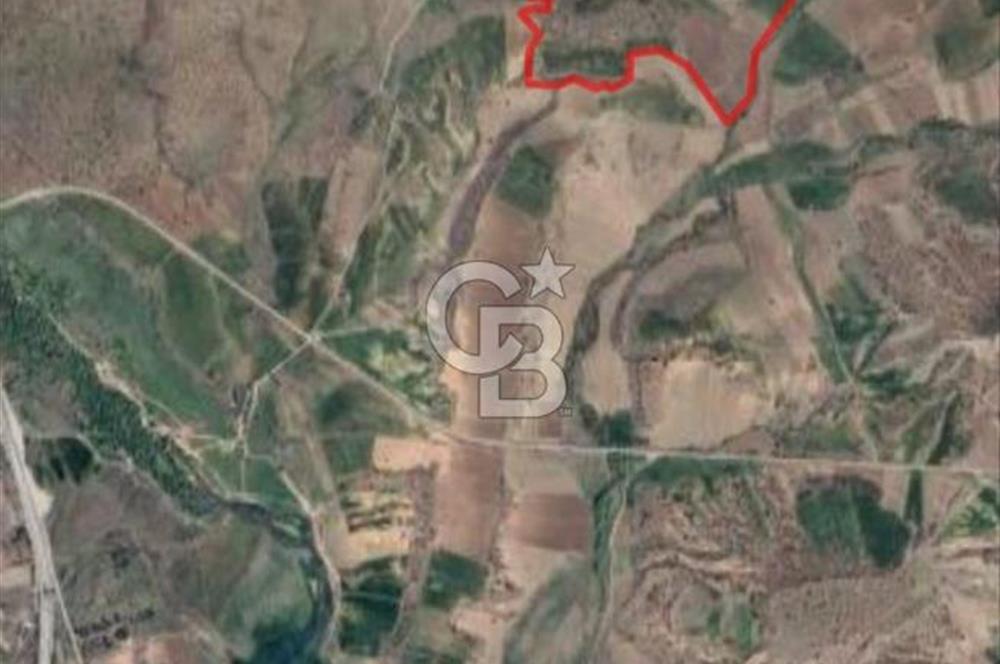 Kızılcıhamam'da 3.074 m2 Tek Tapu Satılık Tarla