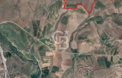 Kızılcıhamam'da 3.074 m2 Tek Tapu Satılık Tarla