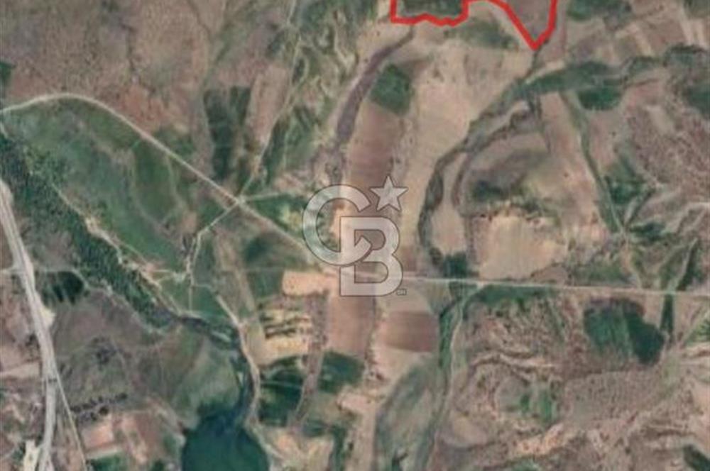 Kızılcıhamam'da 3.074 m2 Tek Tapu Satılık Tarla