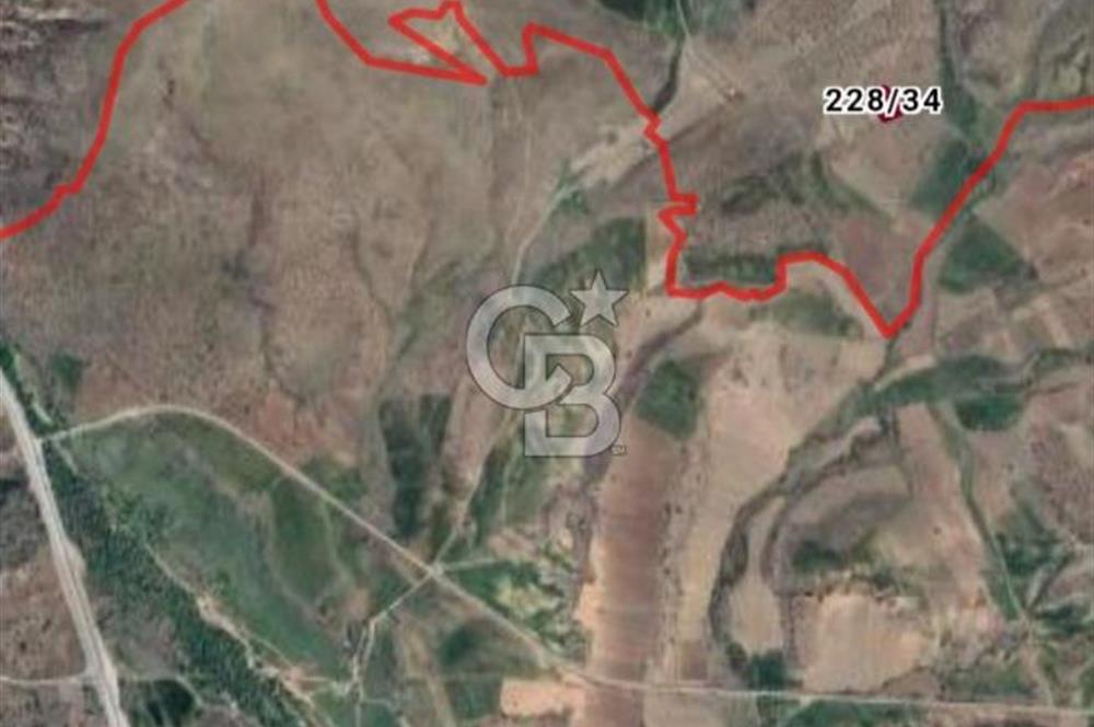 Kızılcıhamam'da 3.074 m2 Tek Tapu Satılık Tarla