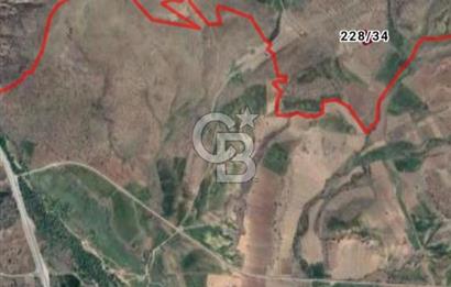 Kızılcıhamam'da 3.074 m2 Tek Tapu Satılık Tarla