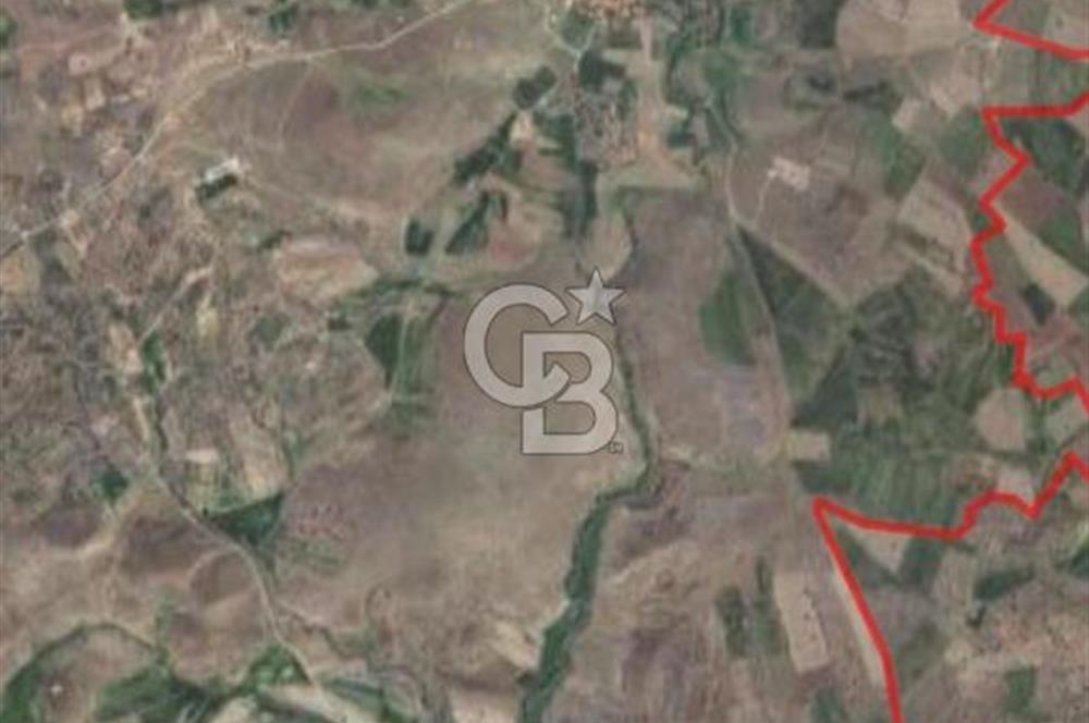 Kızılcıhamam'da 3.074 m2 Tek Tapu Satılık Tarla