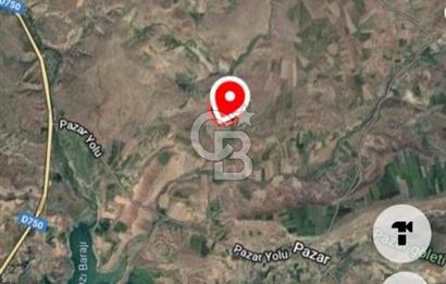 Kızılcıhamam'da 3.074 m2 Tek Tapu Satılık Tarla