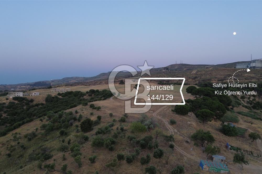 ÇANAKKALE MERKEZ SARI BÖLGEDE SATILIK ARAZİ