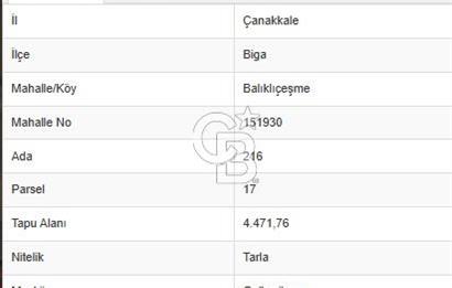 ÇANAKKALE BİGA BALIKLIÇEŞME MÜSTAKİL TAPULU YOLA CEPHELİ 4472m2 SATILIK TARLA FIRSATI
