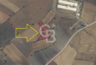 ÇANAKKALE BİGA BALIKLIÇEŞME MÜSTAKİL TAPULU YOLA CEPHELİ 4472m2 SATILIK TARLA FIRSATI - 10 - 356331