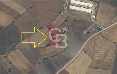 ÇANAKKALE BİGA BALIKLIÇEŞME MÜSTAKİL TAPULU YOLA CEPHELİ 4472m2 SATILIK TARLA FIRSATI